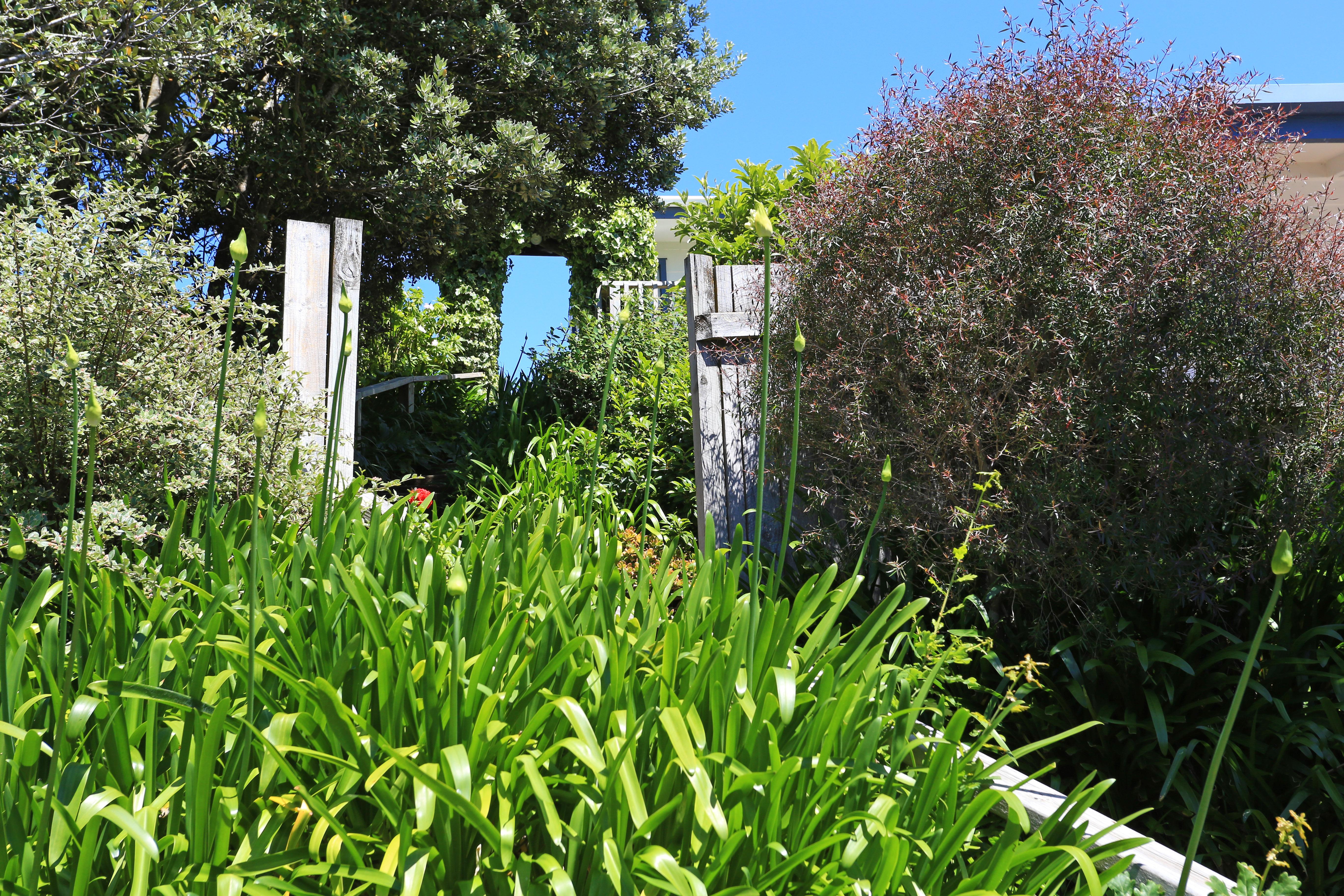 Waiheke Island Motel Ostend Екстериор снимка